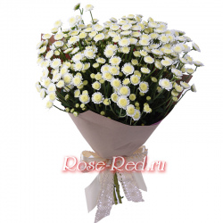 Звездная россыпь