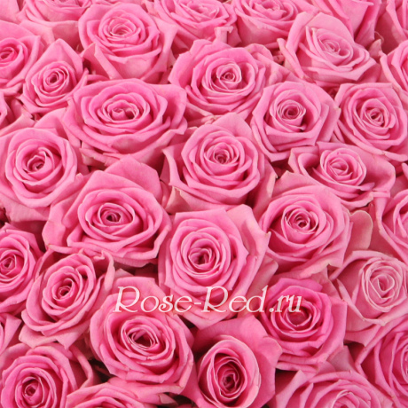 История любви