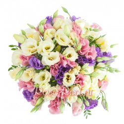 Вольный ветерок