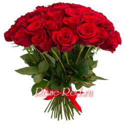 Роза Красная Премиум 70см