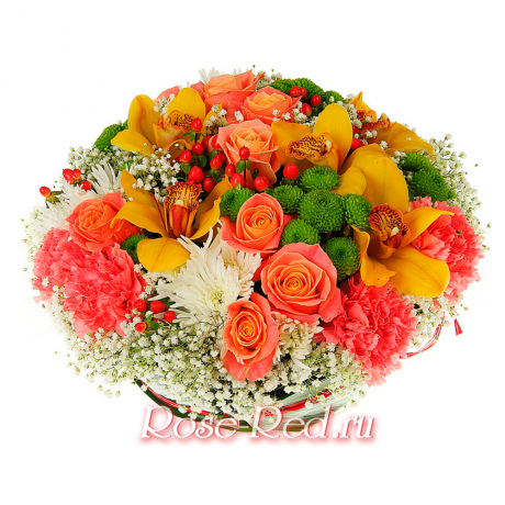 Любимая красавица