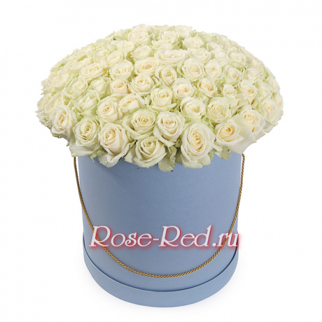 Прекрасная вселенная 101 белая роза