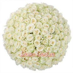 Прекрасная вселенная 101 белая роза