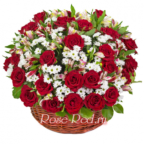 Красная шапочка