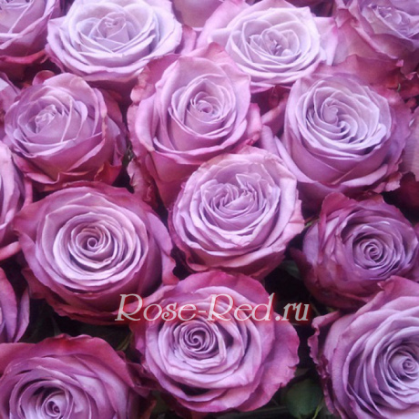 Неповторимое очарование