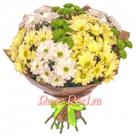 Утренний свет