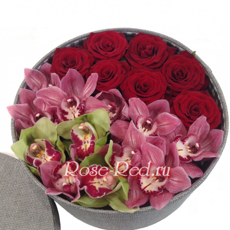 Элегантная роскошь