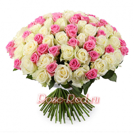 Нежные объятия 101 роза