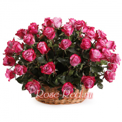 Изысканная роскошь