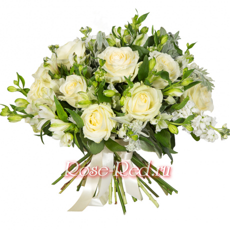 Сияющая звезда