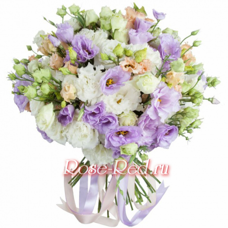 Сон принцессы