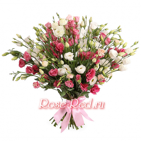 Изысканный соблазн