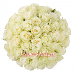 Прекрасная вселенная