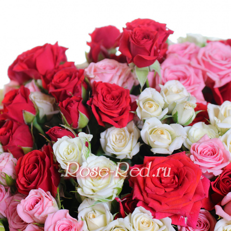 Пленительная красота