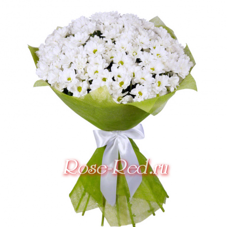 Букет ромашковых хризантем